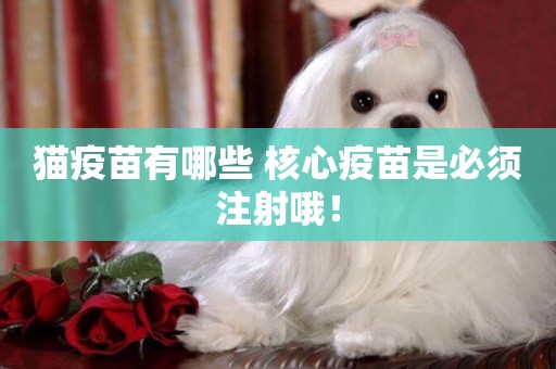 貓疫苗有哪些 核心疫苗是必須注射哦! 貓疫苗有哪些 核心疫苗是必須注射哦!