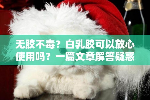 無膠不毒？白乳膠可以放心使用嗎？一篇文章解答疑惑 