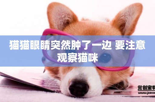 貓貓眼睛突然腫了一邊 要注意觀察貓咪