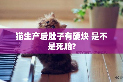 貓生產后肚子有硬塊 是不是死胎?