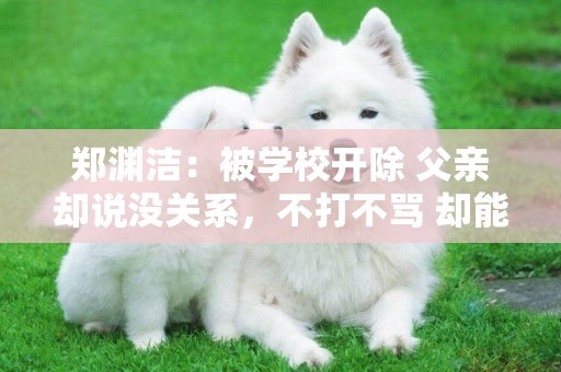 鄭淵潔：被學校開除 父親卻說沒關系，不打不罵 卻能成就孩子一生 