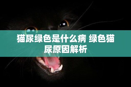 貓尿綠色是什么病 綠色貓尿原因解析