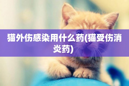 貓外傷感染用什么藥(貓受傷消炎藥) 