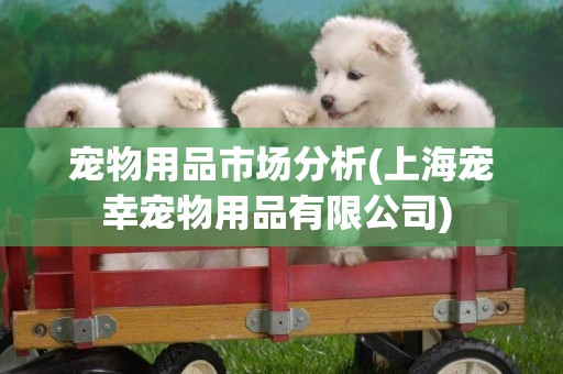 寵物用品市場分析(上海寵幸寵物用品有限公司) 