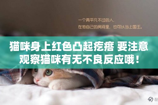 貓咪身上紅色凸起疙瘩 要注意觀察貓咪有無不良反應哦！