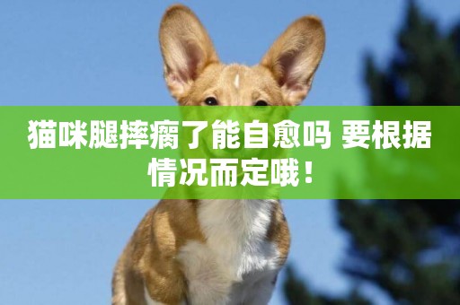 貓咪腿摔瘸了能自愈嗎 要根據情況而定哦！
