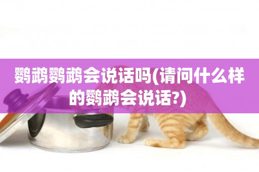 鸚鵡鸚鵡會說話嗎(請問什么樣的鸚鵡會說話?) 