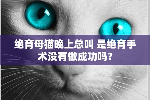 絕育母貓晚上總叫 是絕育手術沒有做成功嗎？