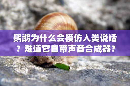 鸚鵡為什么會模仿人類說話？難道它自帶聲音合成器？ 