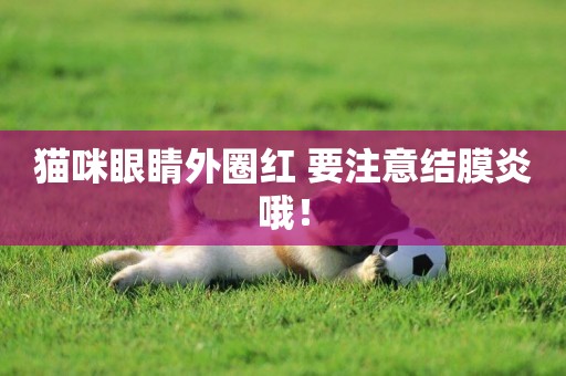 貓咪眼睛外圈紅 要注意結膜炎哦！