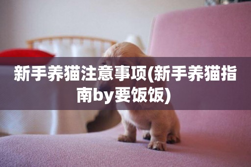 新手養貓注意事項(新手養貓指南by要飯飯) 