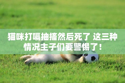 貓咪打嗝抽搐然后死了 這三種情況主子們要警惕了！