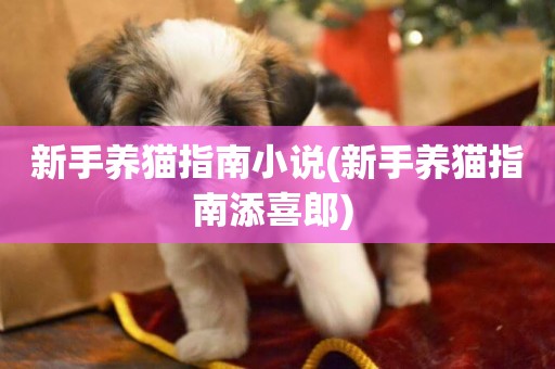 新手養貓指南小說(新手養貓指南添喜郎) 