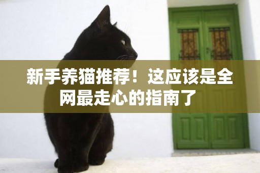 新手養貓推薦！這應該是全網最走心的指南了 