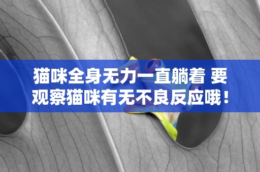 貓咪全身無力一直躺著 要觀察貓咪有無不良反應哦！