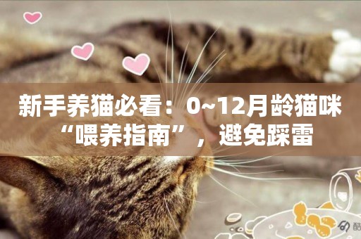 新手養貓必看：0~12月齡貓咪“喂養指南”，避免踩雷 