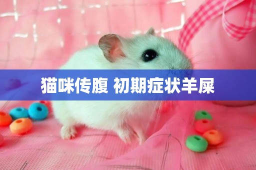 貓咪傳腹 初期癥狀羊屎