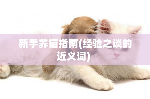 新手養貓指南(經驗之談的近義詞) 