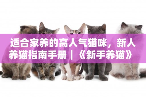 適合家養的高人氣貓咪，新人養貓指南手冊｜《新手養貓》 