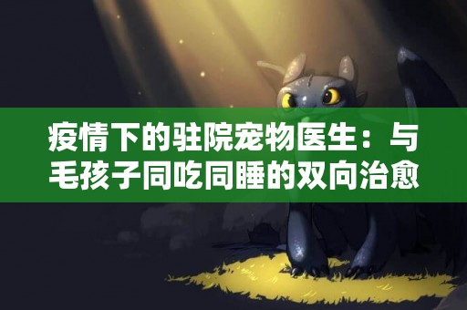 疫情下的駐院寵物醫生：與毛孩子同吃同睡的雙向治愈 