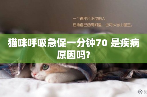 貓咪呼吸急促一分鐘70 是疾病原因嗎?