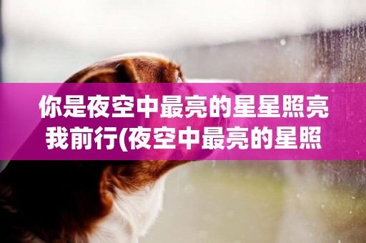 你是夜空中最亮的星星照亮我前行(夜空中最亮的星照亮我前行是什么歌) 
