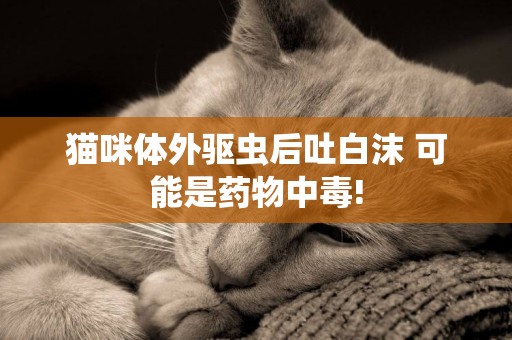 貓咪體外驅蟲后吐白沫 可能是藥物中毒!
