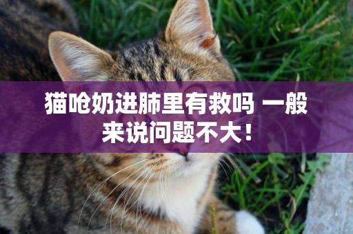 貓嗆奶進肺里有救嗎 一般來說問題不大！