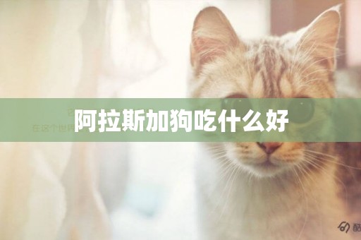 阿拉斯加狗吃什么好