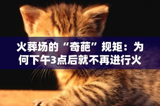 火葬場的“奇葩”規矩：為何下午3點后就不再進行火化？有何講究 