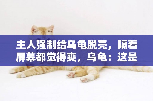 主人強制給烏龜脫殼，隔著屏幕都覺得爽，烏龜：這是人干的事嗎？ 