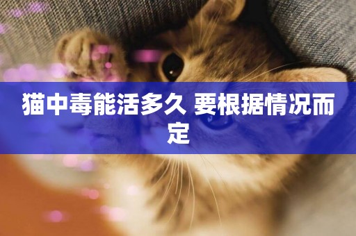 貓中毒能活多久 要根據情況而定