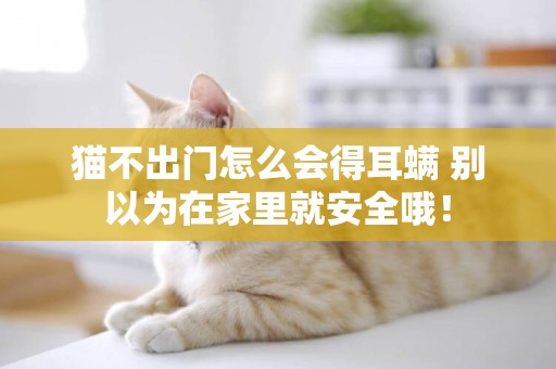 貓不出門怎么會得耳螨 別以為在家里就安全哦！