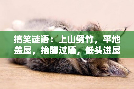 搞笑謎語：上山劈竹，平地蓋屋，抬腳過墻，低頭進屋（打一物） 