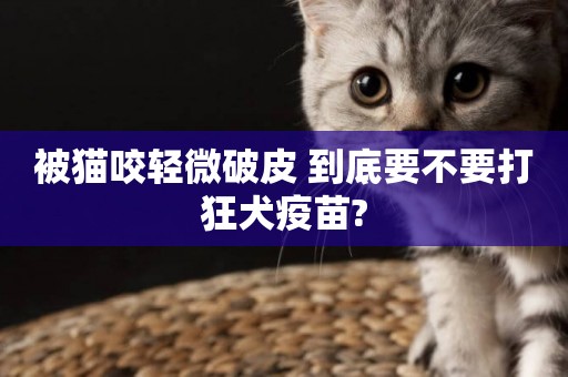 被貓咬輕微破皮 到底要不要打狂犬疫苗?
