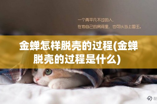 金蟬怎樣脫殼的過程(金蟬脫殼的過程是什么) 