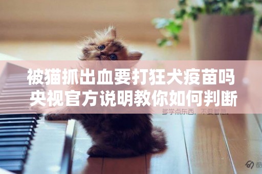 被貓抓出血要打狂犬疫苗嗎 央視官方說明教你如何判斷