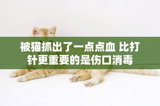 被貓抓出了一點點血 比打針更重要的是傷口消毒