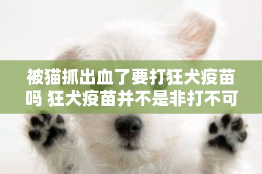 被貓抓出血了要打狂犬疫苗嗎 狂犬疫苗并不是非打不可!