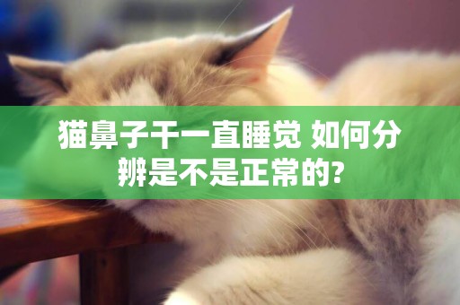 貓鼻子干一直睡覺 如何分辨是不是正常的?