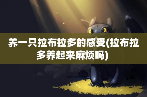 養一只拉布拉多的感受(拉布拉多養起來麻煩嗎) 