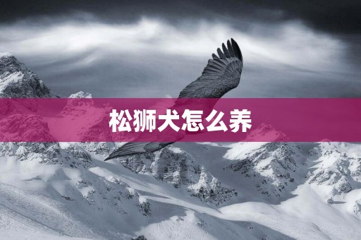 松獅犬怎么養