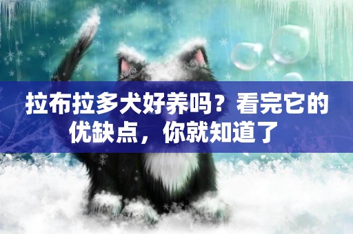 拉布拉多犬好養嗎？看完它的優缺點，你就知道了 