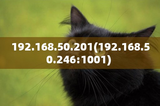 192.168.50.201(192.168.50.246:1001) 