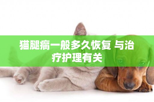 貓腿瘸一般多久恢復 與治療護理有關