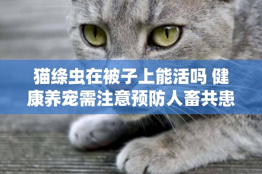 貓絳蟲在被子上能活嗎 健康養寵需注意預防人畜共患病!