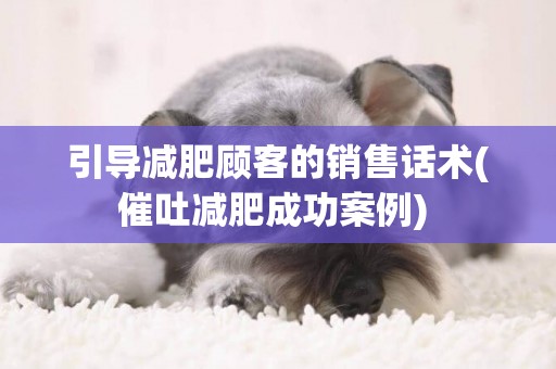 引導減肥顧客的銷售話術(催吐減肥成功案例) 