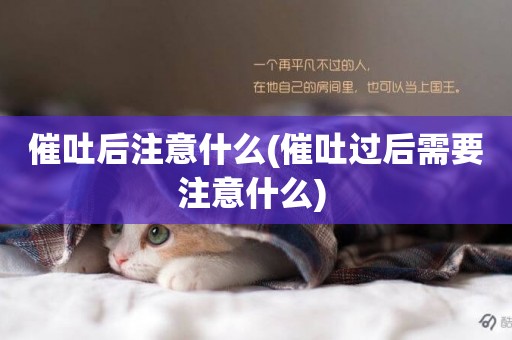 催吐后注意什么(催吐過后需要注意什么) 