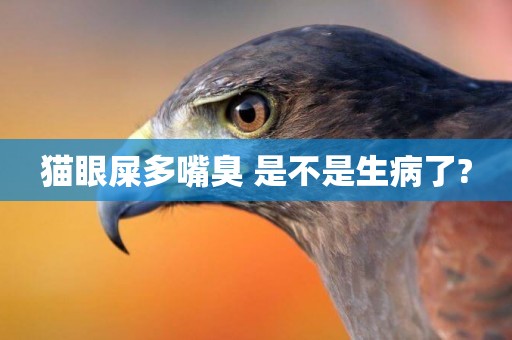 貓眼屎多嘴臭 是不是生病了?