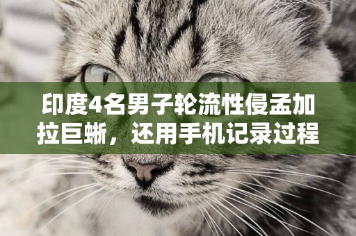 印度4名男子輪流性侵孟加拉巨蜥，還用手機記錄過程？我不理解 